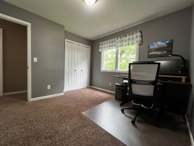 17300 Baseline Ave, Sand Creek Twp, MN 55352 - carpeted home office featuring baseboards