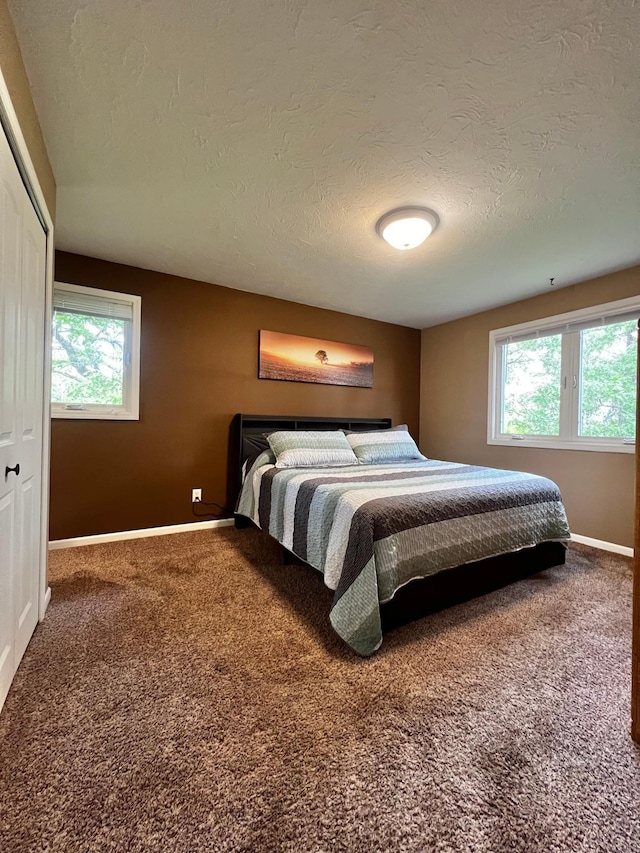 17300 Baseline Ave, Sand Creek Twp, MN 55352 - bedroom featuring a textured ceiling, multiple windows, carpet floors, baseboards, and a closet