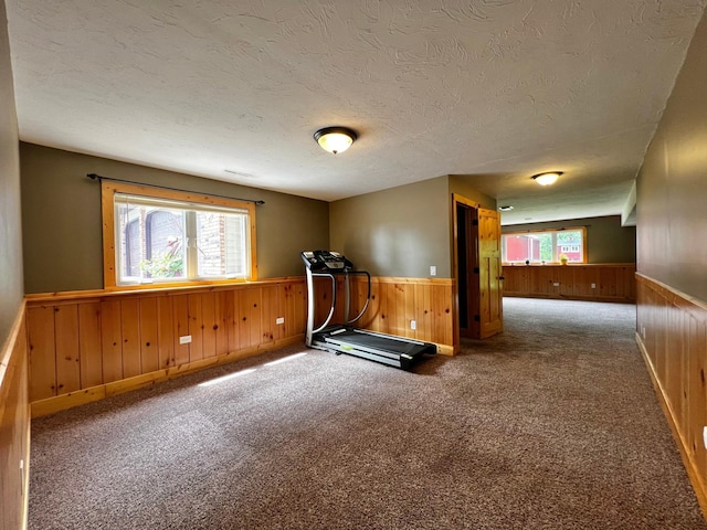17300 Baseline Ave, Sand Creek Twp, MN 55352 - exercise room with a wainscoted wall, a textured ceiling, wooden walls, and carpet flooring
