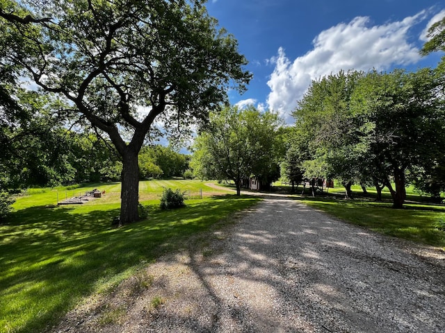 17300 Baseline Ave, Sand Creek Twp, MN 55352 - view of dirt / gravel road featuring view of scattered trees