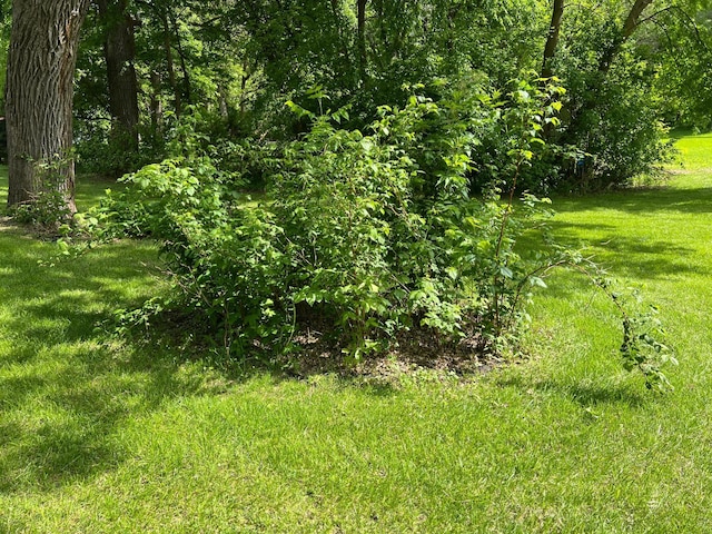 17300 Baseline Ave, Sand Creek Twp, MN 55352 - view of local wilderness