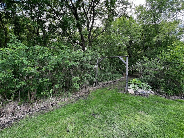 17300 Baseline Ave, Sand Creek Twp, MN 55352 - view of green lawn