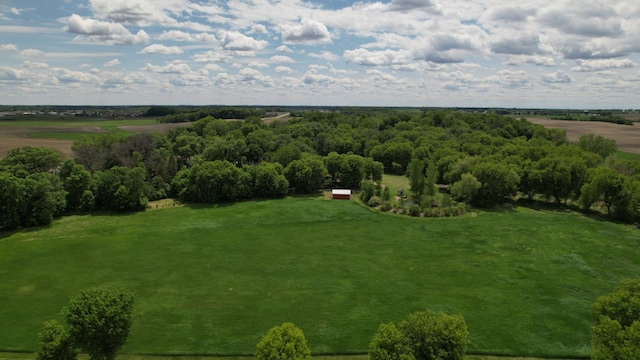17300 Baseline Ave, Sand Creek Twp, MN 55352 - overview of rural landscape