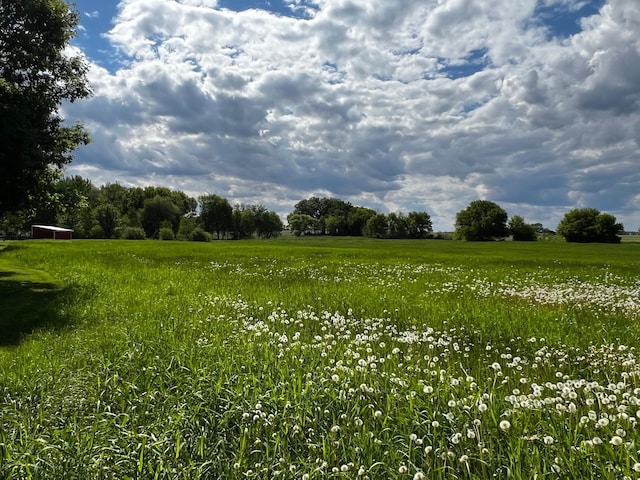 17300 Baseline Ave, Sand Creek Twp, MN 55352 - view of undeveloped land featuring rural landscape