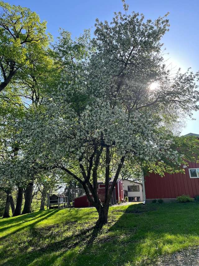 17300 Baseline Ave, Sand Creek Twp, MN 55352 - view of green lawn