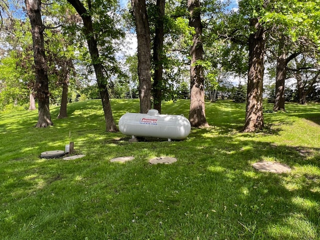 17300 Baseline Ave, Sand Creek Twp, MN 55352 - view of grassy yard