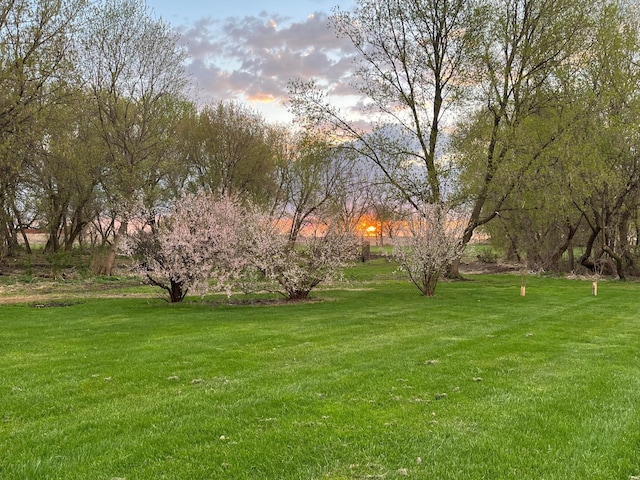 17300 Baseline Ave, Sand Creek Twp, MN 55352 - yard at dusk featuring a yard