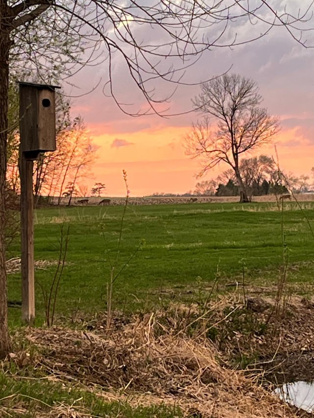 17300 Baseline Ave, Sand Creek Twp, MN 55352 - nature at dusk with a rural view