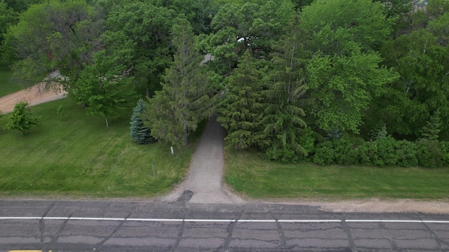 17300 Baseline Ave, Sand Creek Twp, MN 55352 - view of road with a forest view