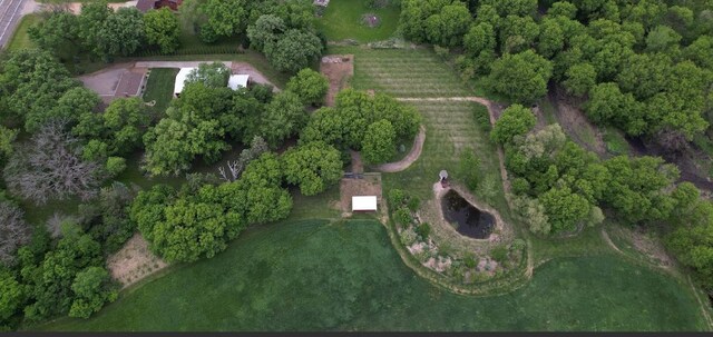 17300 Baseline Ave, Sand Creek Twp, MN 55352 - aerial view of property's location