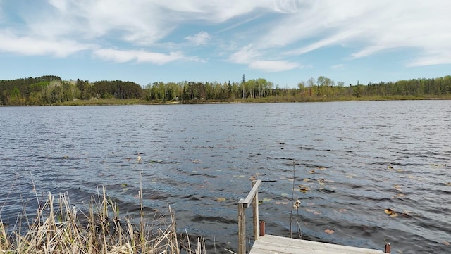 7470 Point Ln, Britt, MN 55710 - dock with a water view and a forest view