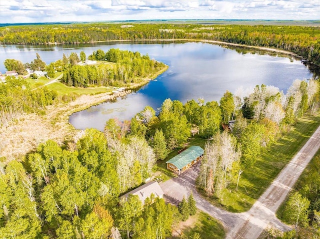 2614 Leroy Rd, Eveleth, MN 55734 - bird's eye view of a large body of water and a heavily wooded area