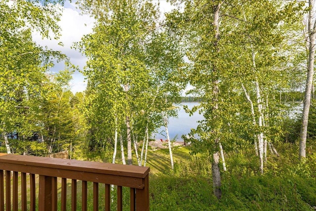 2614 Leroy Rd, Eveleth, MN 55734 - water view