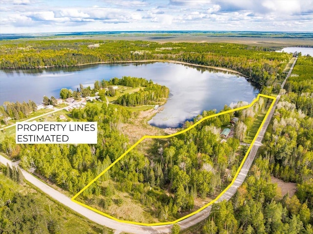 2614 Leroy Rd, Eveleth, MN 55734 - view of property location with a forest, a nearby body of water, and property parcel outlined