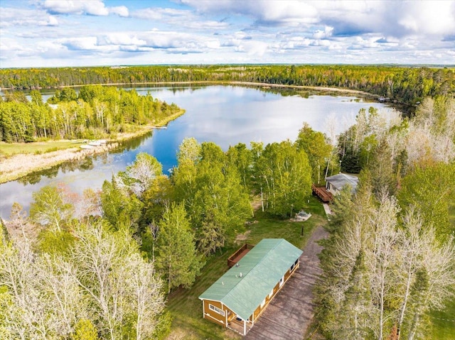 2614 Leroy Rd, Eveleth, MN 55734 - drone / aerial view of a nearby body of water and a forest