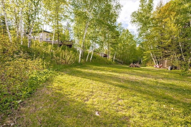 2614 Leroy Rd, Eveleth, MN 55734 - view of green lawn