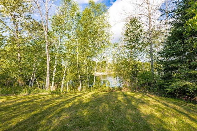 2614 Leroy Rd, Eveleth, MN 55734 - view of green lawn with a water view
