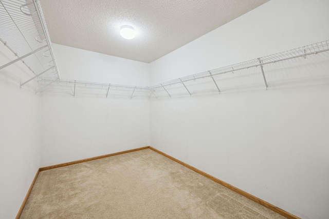 12332 3rd St NE, Blaine, MN 55434 - walk in closet with light carpet