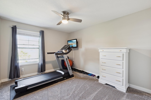 11564 Woodside Dr, Rogers, MN 55311 - exercise area with ceiling fan, carpet flooring, and baseboards