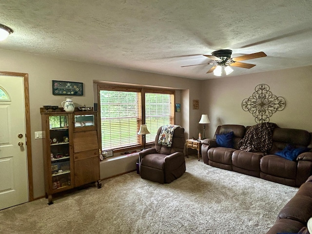 10696 Leaf River Rd, Leaf River Twp, MN 56482 - carpeted living room featuring ceiling fan and a textured ceiling