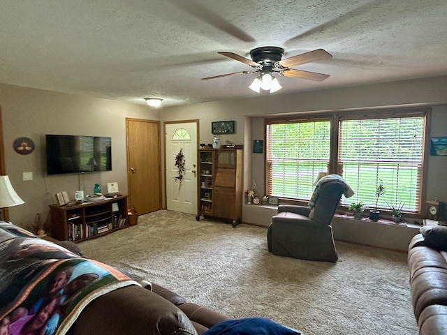 10696 Leaf River Rd, Leaf River Twp, MN 56482 - living room with carpet floors, ceiling fan, plenty of natural light, and a textured ceiling