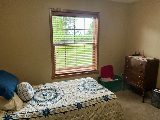 10696 Leaf River Rd, Leaf River Twp, MN 56482 - bedroom featuring carpet