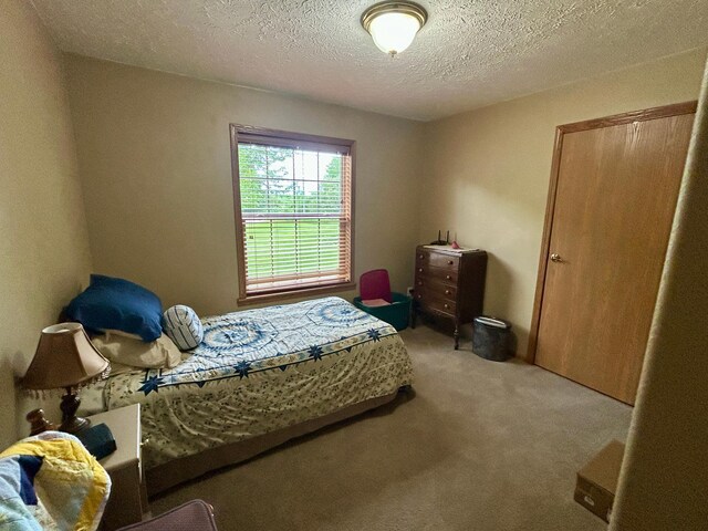 10696 Leaf River Rd, Leaf River Twp, MN 56482 - bedroom with carpet and a textured ceiling