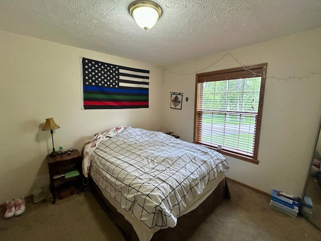 10696 Leaf River Rd, Leaf River Twp, MN 56482 - bedroom with carpet and a textured ceiling
