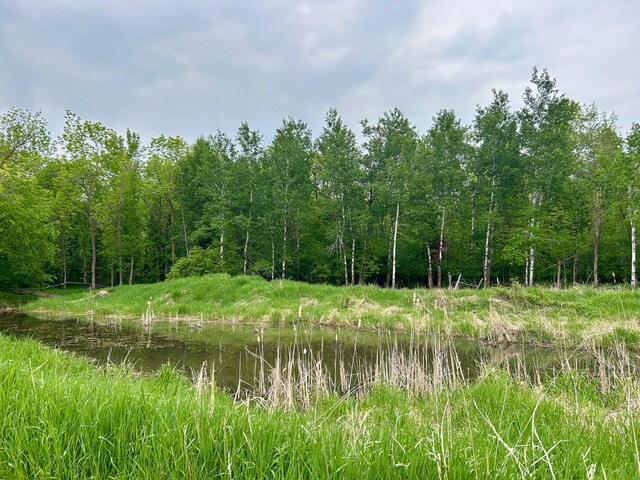 10696 Leaf River Rd, Leaf River Twp, MN 56482 - view of woods