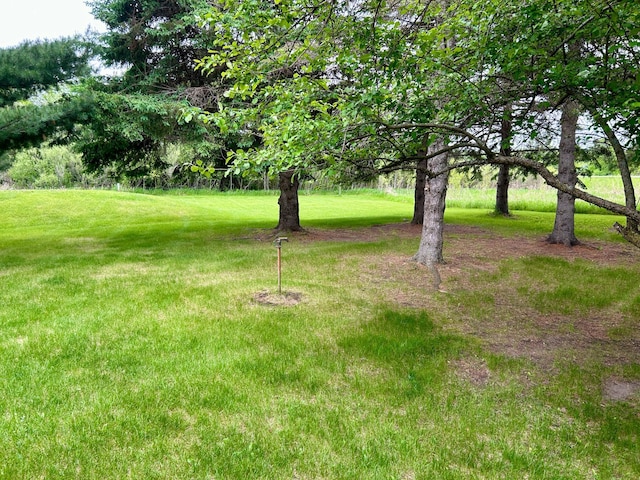 10696 Leaf River Rd, Leaf River Twp, MN 56482 - view of grassy yard