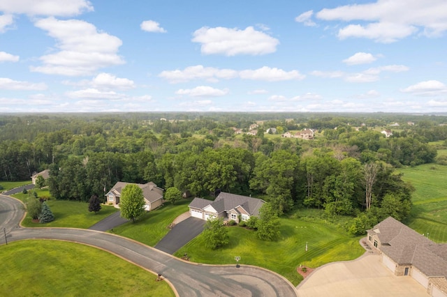 2349 175th Ln NE, Ham Lake, MN 55304 - bird's eye view of a forest