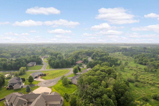 2349 175th Ln NE, Ham Lake, MN 55304 - aerial view of residential area featuring a forest