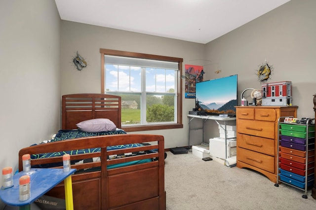 2349 175th Ln NE, Ham Lake, MN 55304 - view of carpeted bedroom