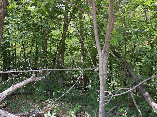 Listing photo 7 - caption unavailable