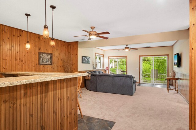 14550 Hunters Ln, Savage, MN 55378 - living room with wood walls, dark carpet, and ceiling fan