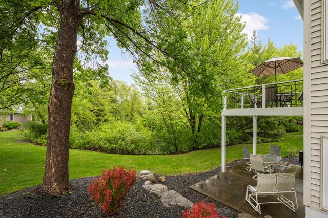 14550 Hunters Ln, Savage, MN 55378 - view of green lawn with a patio