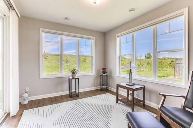 19171 Cottage Rd, Farmington, MN 55024 - sitting room featuring healthy amount of natural light, wood finished floors, and baseboards