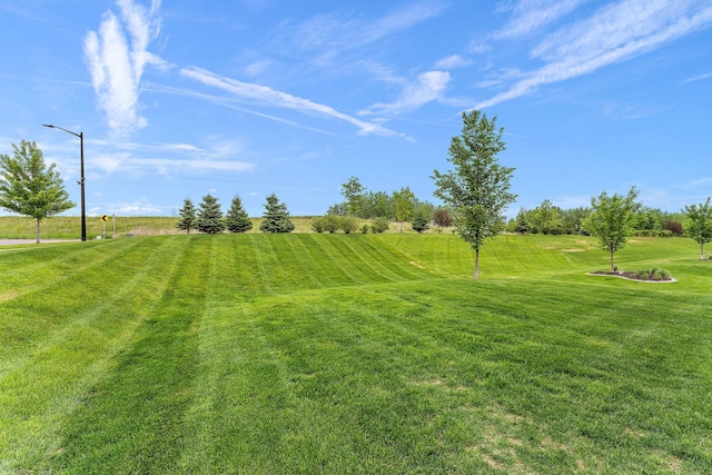 16206 Draft Horse Blvd, Lakeville, MN 55044 - photo 43