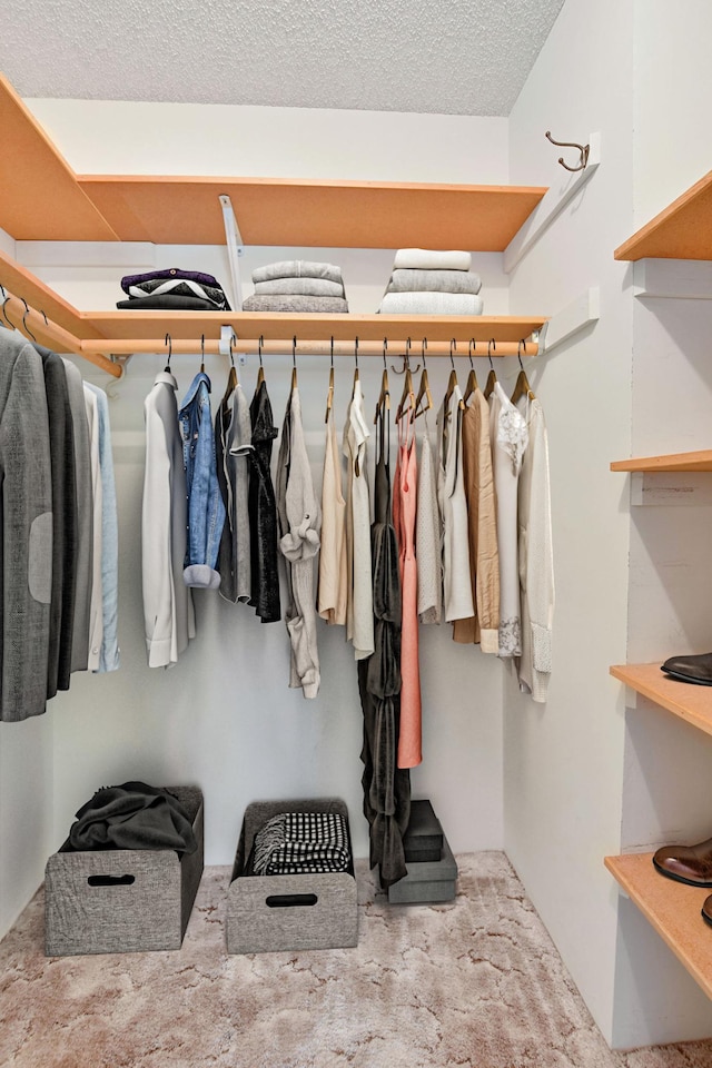 1871 Livingston Ave Unit C, West Saint Paul, MN 55118 - walk in closet with carpet floors