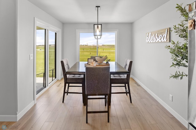 4533 38 1/2 Ave N, Reiles Acres, ND 58102 - dining area featuring healthy amount of natural light, baseboards, and light wood finished floors