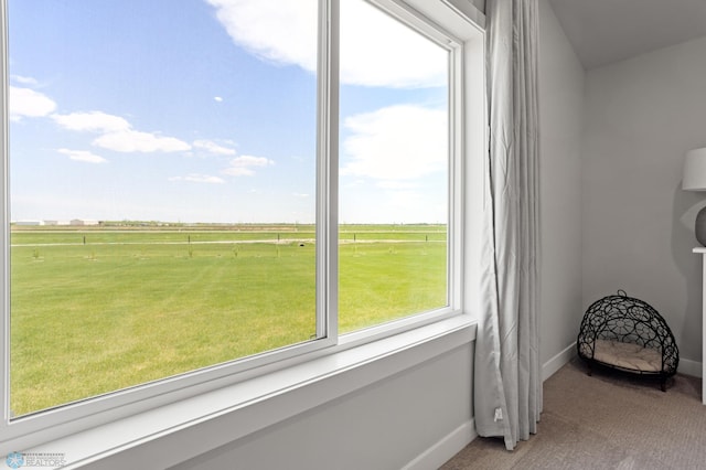 4533 38 1/2 Ave N, Reiles Acres, ND 58102 - washroom with light colored carpet, baseboards, and a rural view