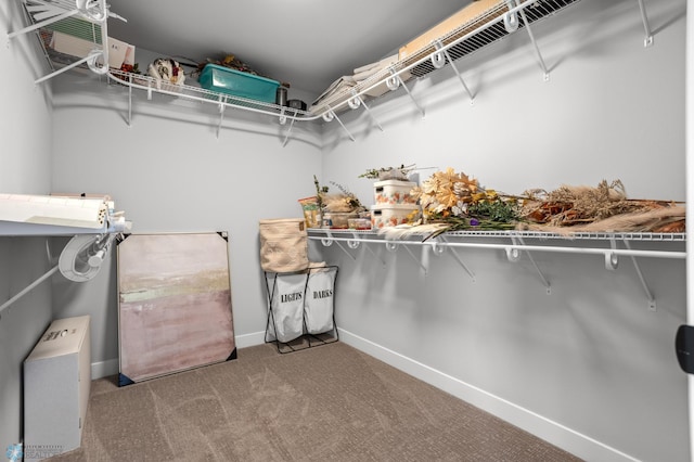 4533 38 1/2 Ave N, Reiles Acres, ND 58102 - walk in closet with carpet