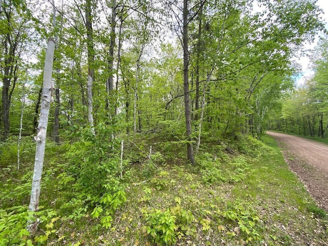 0 Hustvet Dr, Chicog Twp, WI 54888