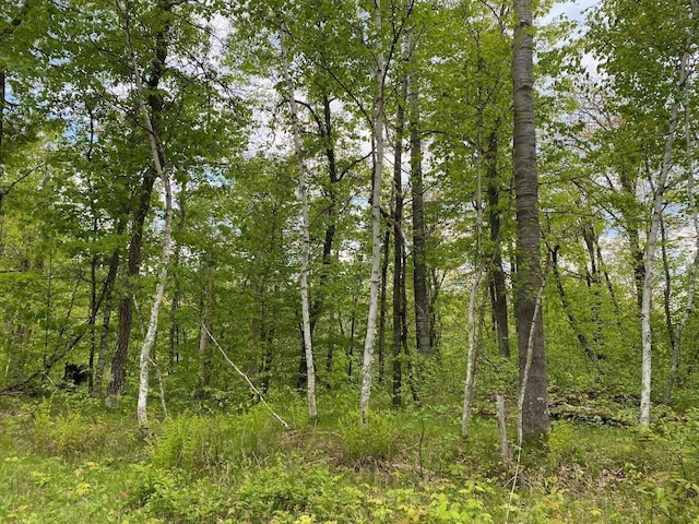 0 Hustvet Dr, Chicog Twp, WI 54888