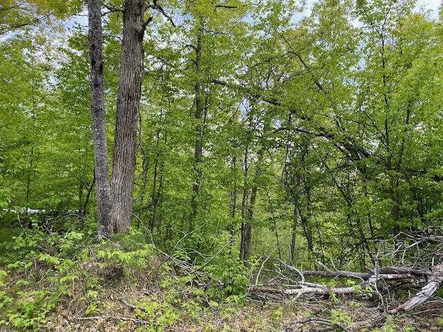 0 Hustvet Dr, Chicog Twp, WI 54888