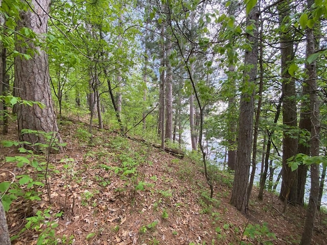 0 Hustvet Dr, Chicog Twp, WI 54888