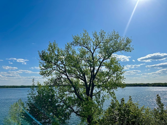 1763 Cadbary Ln SE, Ten Lake Twp, MN 56633 - water view