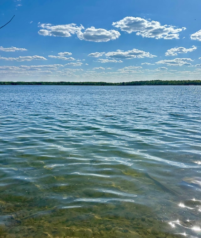 1763 Cadbary Ln SE, Ten Lake Twp, MN 56633 - water view