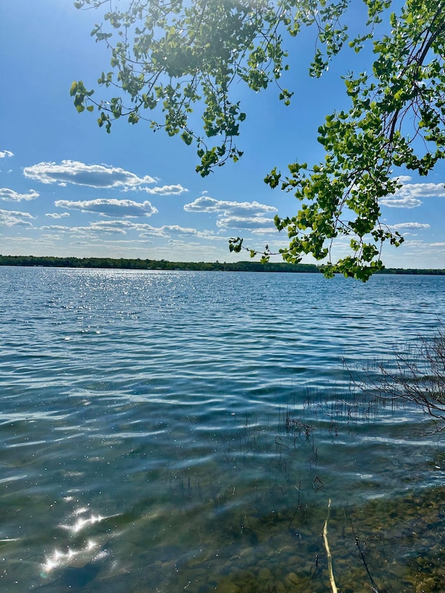 1763 Cadbary Ln SE, Ten Lake Twp, MN 56633 - water view