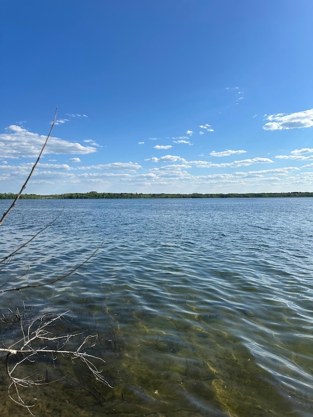 1763 Cadbary Ln SE, Ten Lake Twp, MN 56633 - water view